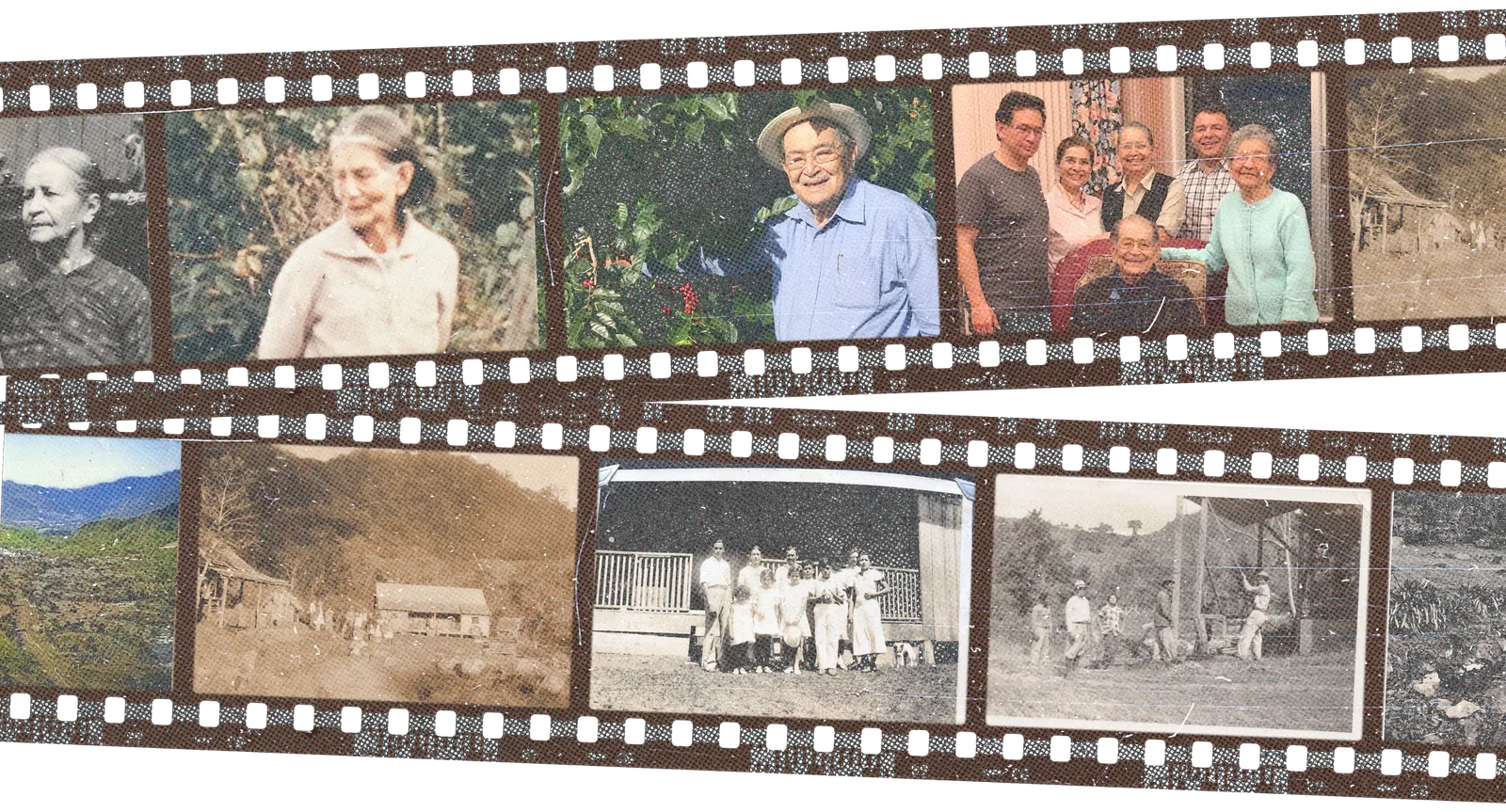 Cinco generaciones de la familia González Jaramillo cultivando café en Boquete